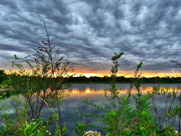 Pond at sunset in Schaumburg Township, IL